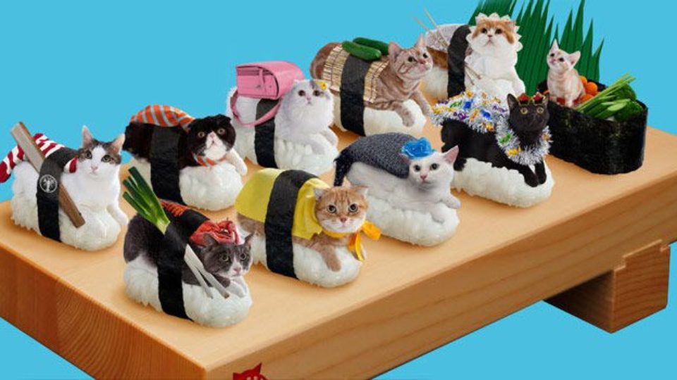 Neko Sushi : Adorably Non Edible | Top Sushi Machines