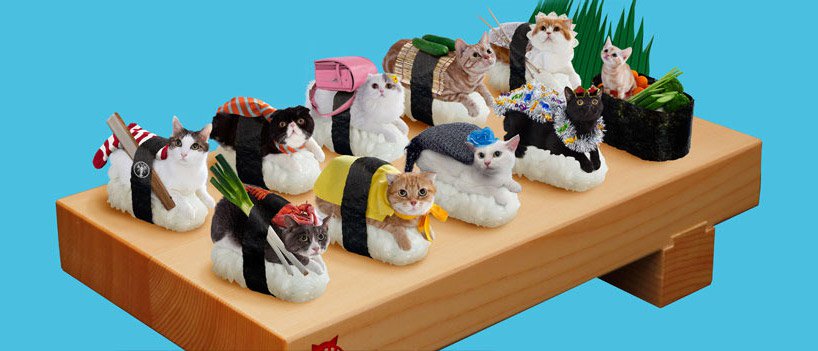 Sushi Cats on a sushi board