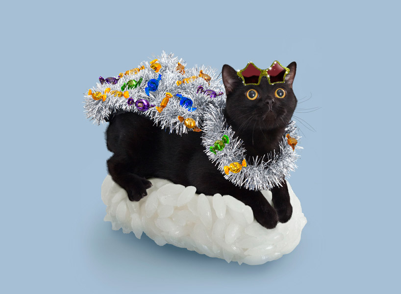 festive tinsel sushi cat