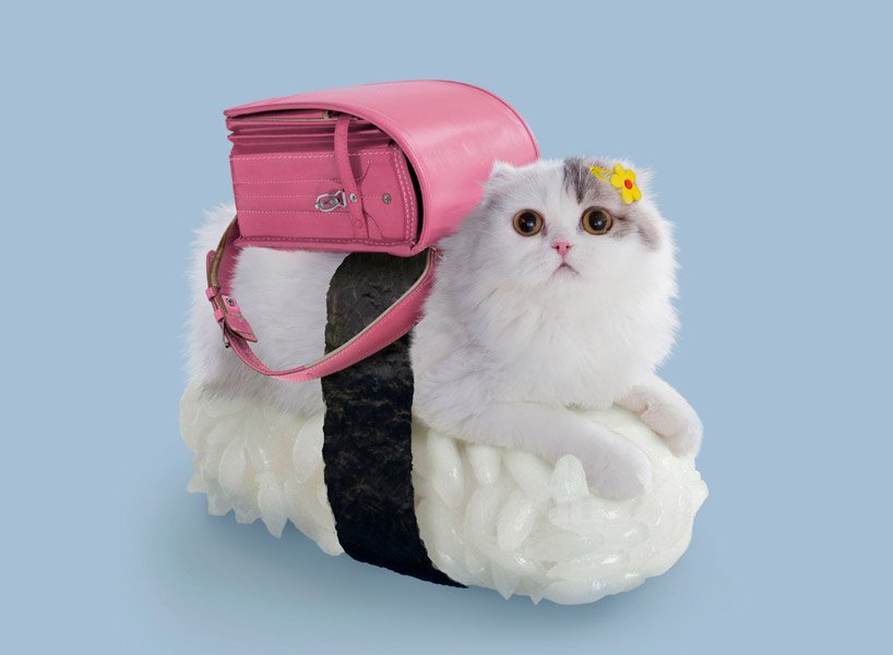 Feminine cat with pink Japanese school bag