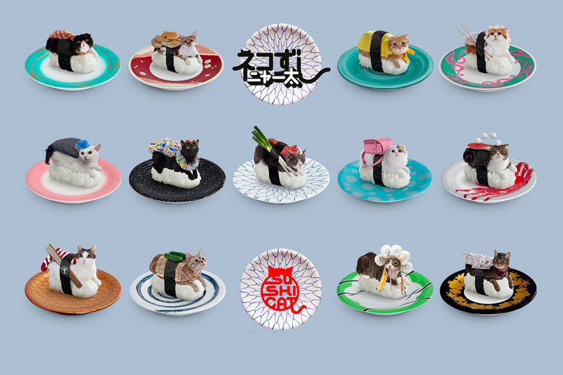 sushi cats on sushi plates