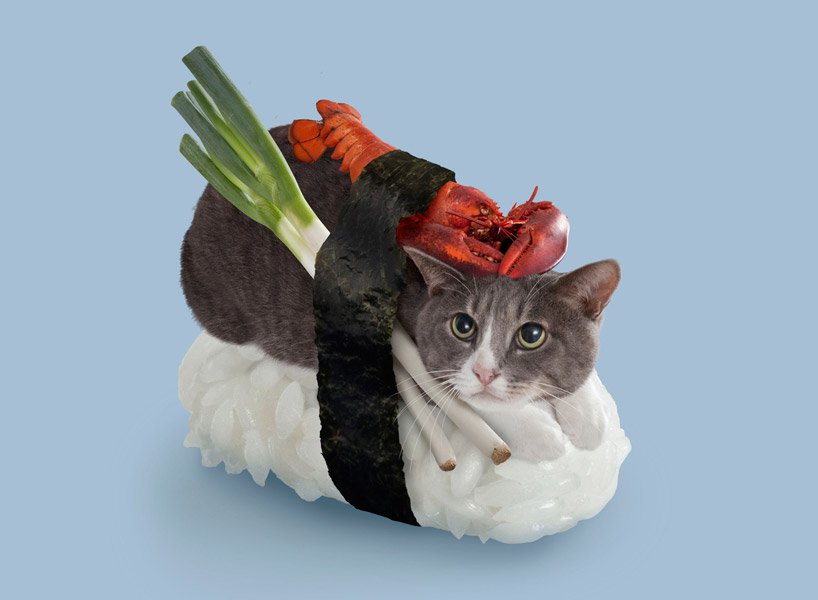 Sushi Cats 001 3