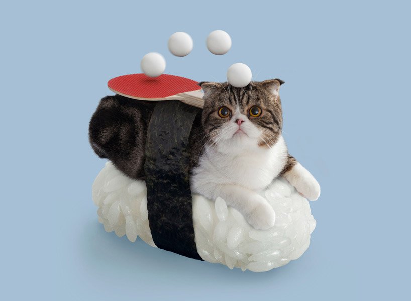 Sushi Cats 001 6