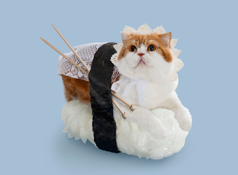 sushi cat maid